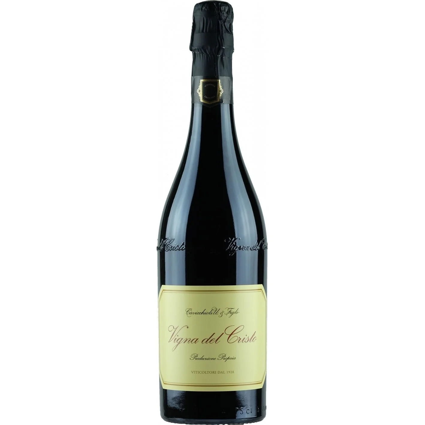 Cantine Cavicchioli Vigna del Cristo Lambrusco 2019 750ml - Image 2